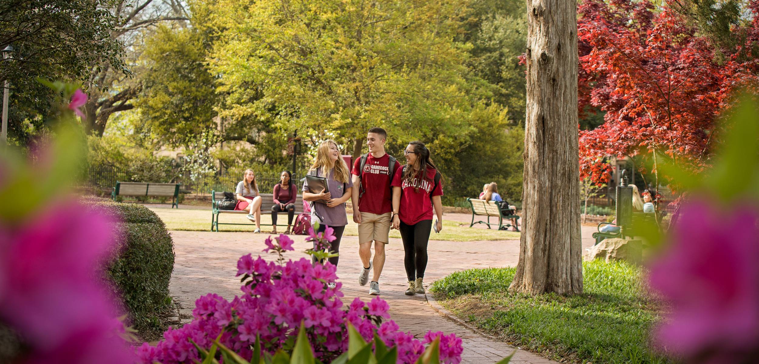 Students walk and talk on the historic horseshoe.
