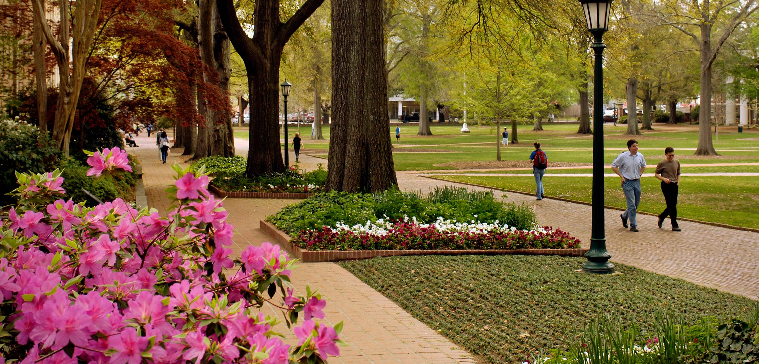 Students walk across the brick paths of the historic Horseshoe