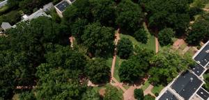 Aerial view of tree-filled park with intersecting pathways and surrounding residential buildings.