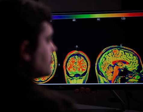 Person looking at several colorful scans of human brain