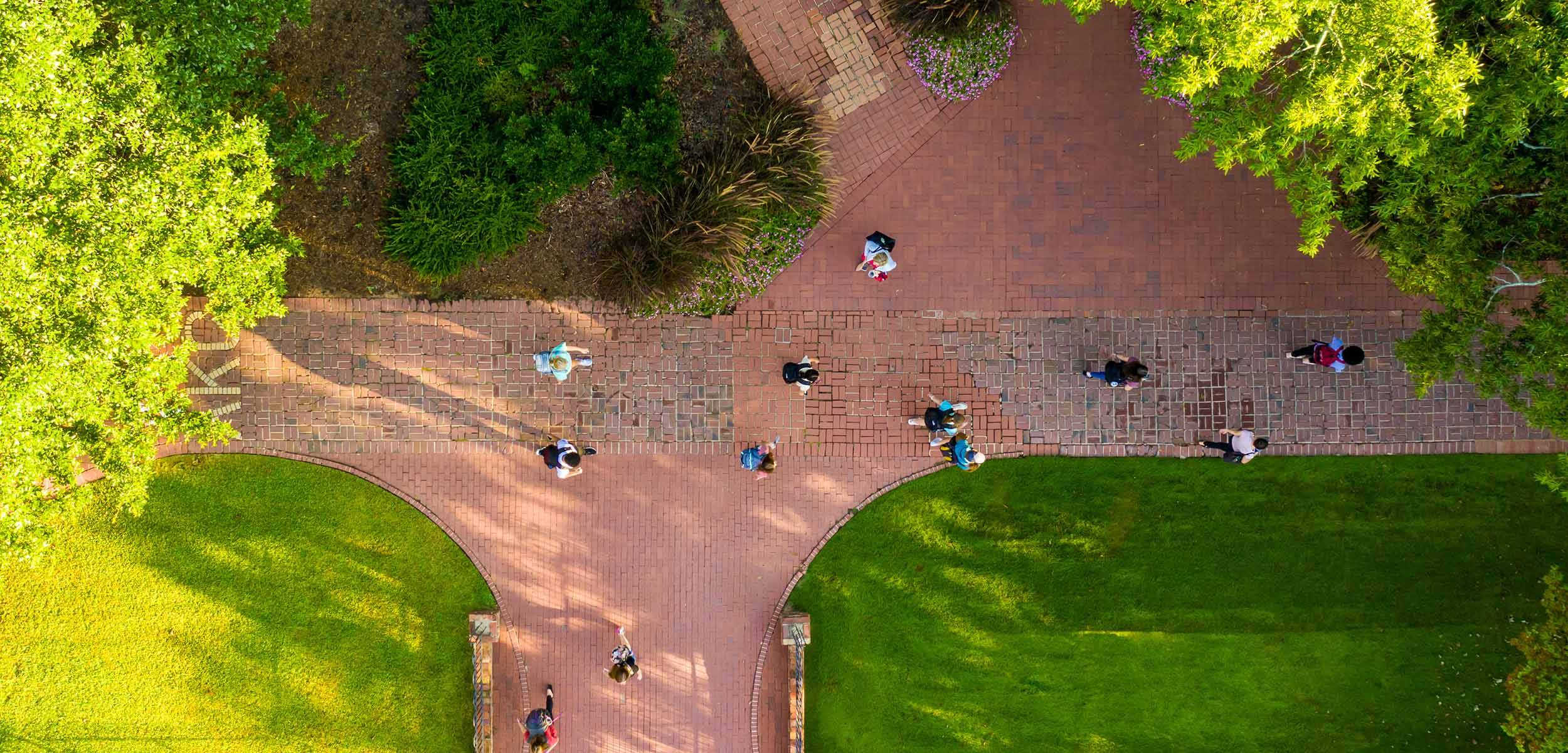 Aerial view of students walking along intersecting brick pathways surrounded by green lawns, trees, and landscaped flowerbeds on a sunny campus.