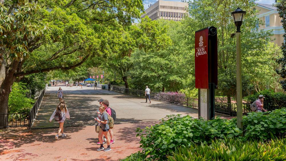 Students walking along a shaded pathway on the University of South Carolina campus, with large oak trees overhead, and a red “South Carolina” sign.