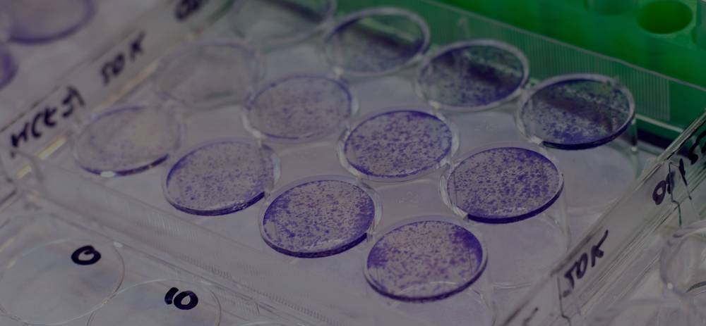 Laboratory slides